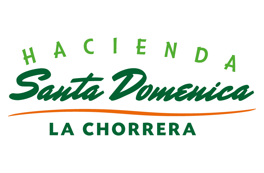 santa domenica-02